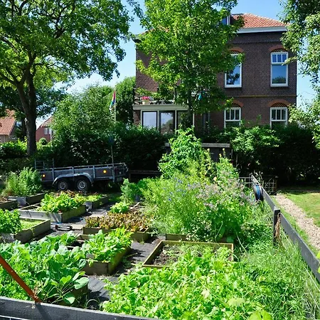 B&B De Postoari Terschelling-3